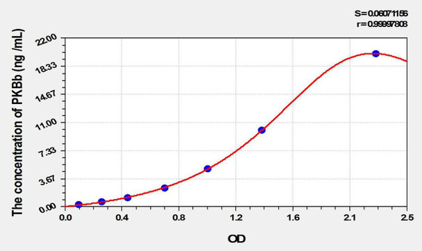 Rat PKBb (Protein Kinase B Beta) ELISA Kit (AEKE10023)