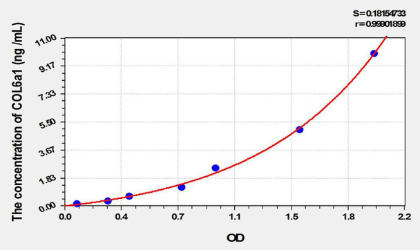 Rat COL6a1 (Collagen Type VI Alpha 1) ELISA Kit (AEKE10182)