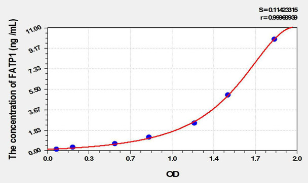 Rat FATP1 (Fatty Acid Transport Protein 1) ELISA Kit (AEKE10331)