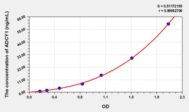 Rat ADCY1 (Adenylate Cyclase 1, Brain) ELISA Kit (AEKE10579)