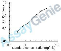 Rat CKD ELISA Sampler Pack (SKGE0083)