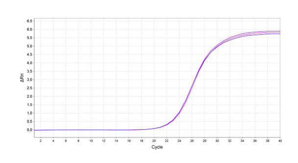 GenieDetect Nipah Virus Detection Kit (Fluorescent PCR)