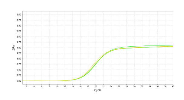 GenieDetect Mouse Telomere Length qPCR Assay Kit (Relative)