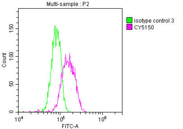 Anti-MYC Antibody (RACO0368)