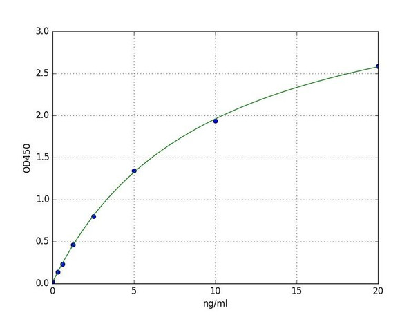 Human RAD51B (DNA repair protein RAD51 homolog 2) ELISA Kit (HUFI06922)