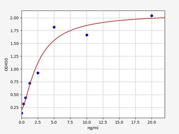 Human ADSL (Adenylosuccinate lyase) ELISA Kit (HUFI05471)