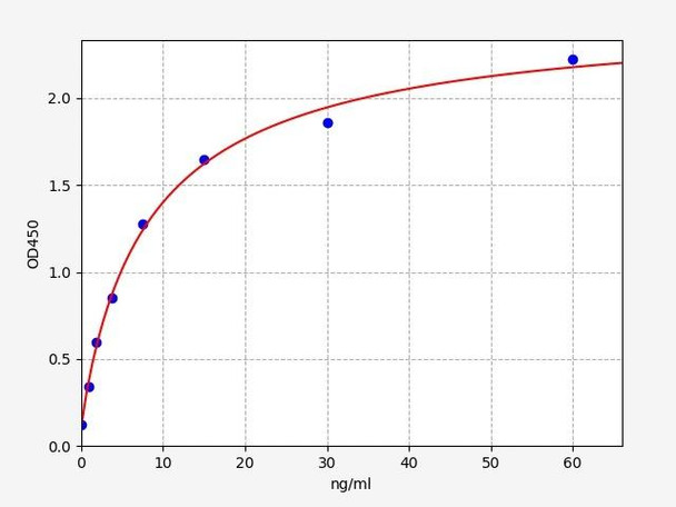 Human APP (Amyloid-beta precursor protein) ELISA Kit (HUFI03423)