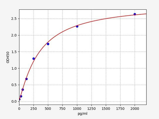 Human MTHFR / Methylenetetrahydrofolate reductase ELISA Kit