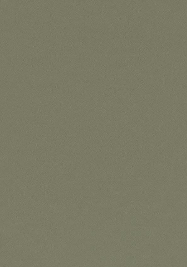 4184 olive　650mm×670mm NEW Forbo Desktop Furniture Linoleum 4169 Olive | Forbo Furniture Linoleum