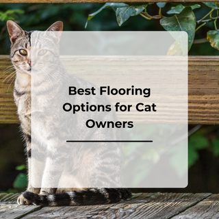 Best Flooring Options for Cat Owners