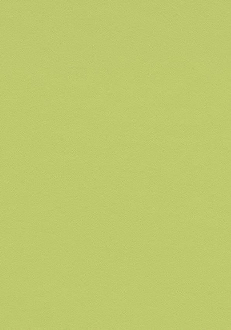 海外限定】 4183 pistachio 980mm×780mm i9tmg.com.br