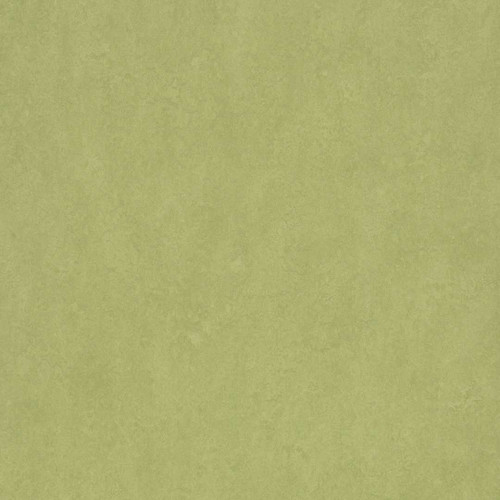 Forbo Marmoleum Fresco Avocado 3265