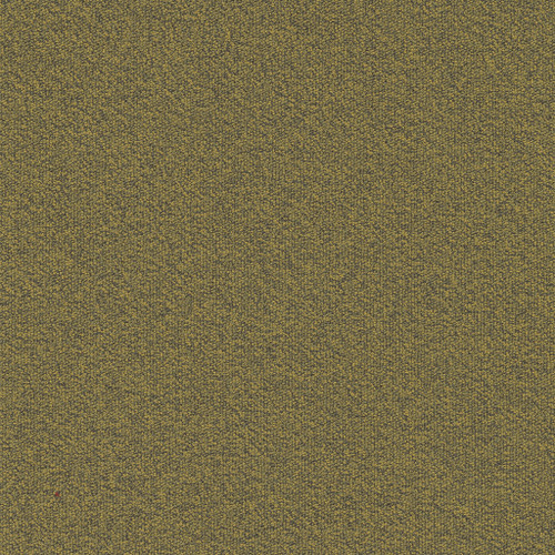 Moduylss Millennium Nxtgen 210 Carpet Tiles