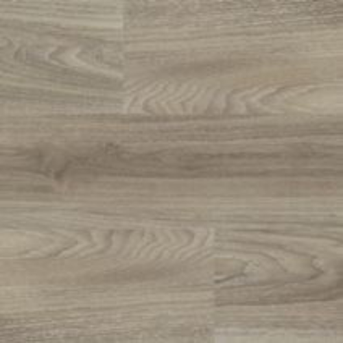 Light Elm 6506
