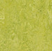 Forbo Marmoleum Decibel 322435 chartreuse