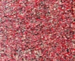 J H S Triumph Cut Pile Carpet Tiles 701 Chilli