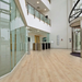 Affinity255 PUR LVT Champagne Oak 9874