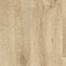 Tarkett Texstar Legacy Oak Sand