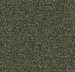 Forbo Coral Classic Entrance Matting 4758 olive