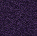 Forbo Coral Brush 5709 royal purple