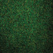 Heckmondwike Wellington Velour Carpet Tiles Lincoln Green