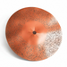 Copper Medium Sanding Disc 16"