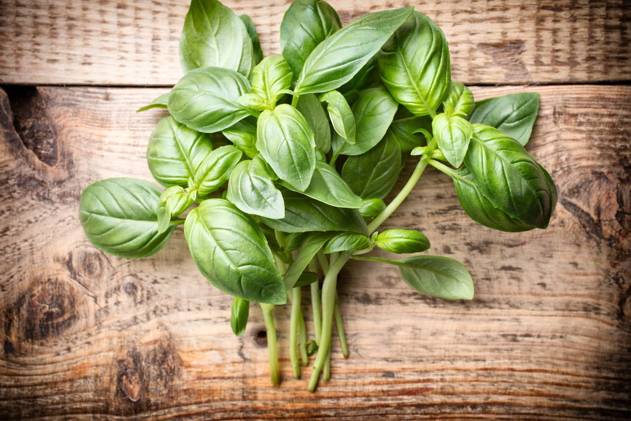 Basil Essential Oil 100 Pure Natural Therapeutic Grade