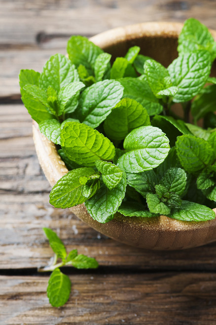 Peppermint Essential Oil