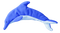 Dolphin Wrap - Animal for Kids - Anxiety and Stress Reducers
