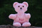 Microwavable Thera Bear Weighted Stuffed Animal