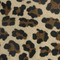 Actual Belly Fabric - Leopard Plush