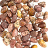Leopardskin Jasper Tumbled Stones