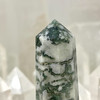 Tree Agate Generator Point