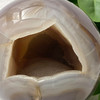 Quartz Druzy Agate Geode Sphere 13cm