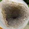 Quartz Druzy Agate Geode Sphere 9cm