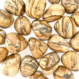 Picture Jasper Tumbled Stones