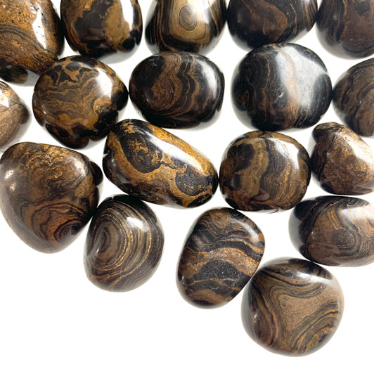 Stromatolite Fossil Tumbled Stones