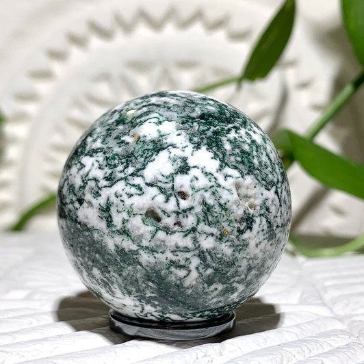 Tree Agate Sphere Tree Agate Sphere