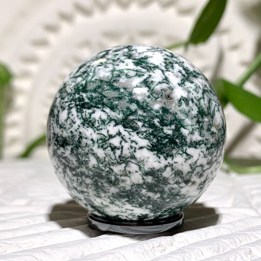 Tree Agate Sphere Tree Agate Sphere