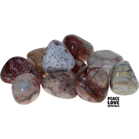 Fossil Jasper Tumbled Stones Fossil Jasper Tumbled Stones