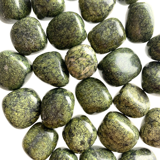 Green Snakeskin Jasper Tumbled Stones