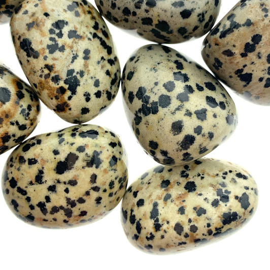 Dalmatian Jasper Tumbled Stones