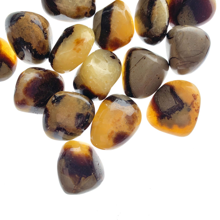 Septarian Tumbled Stones