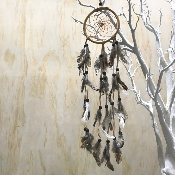 Dreamcatcher