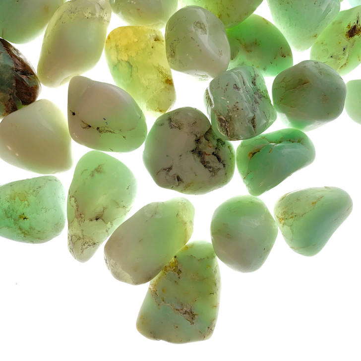 Green Chrysoprase Tumbled Stones