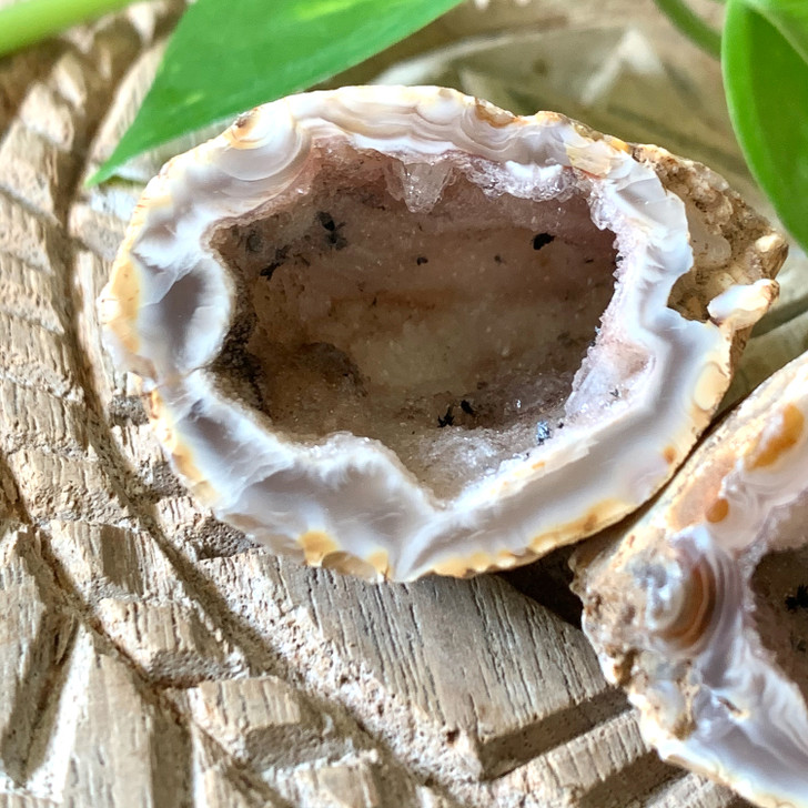 Natural Agate Geode Pair