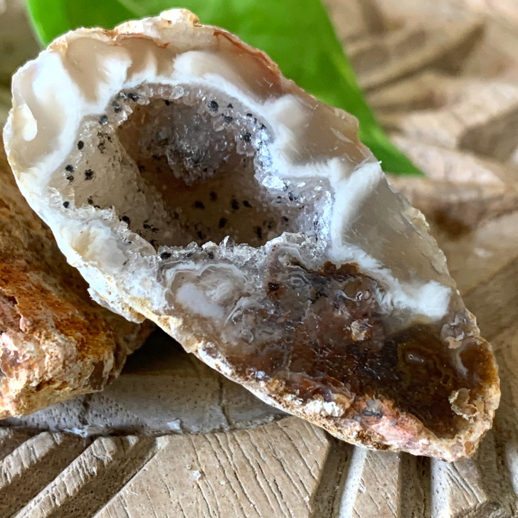 Natural Agate Geode Pair