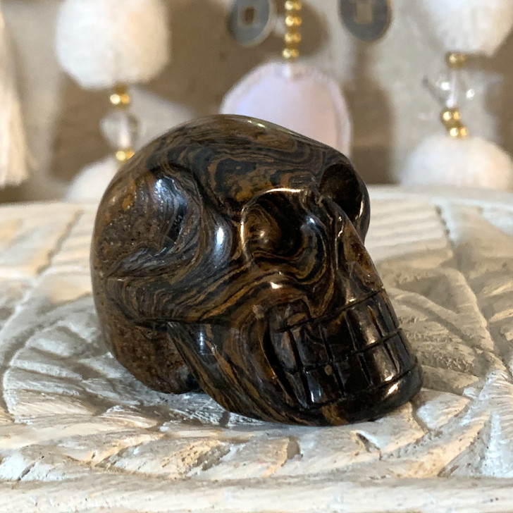 Stromatolite Fossil Skull