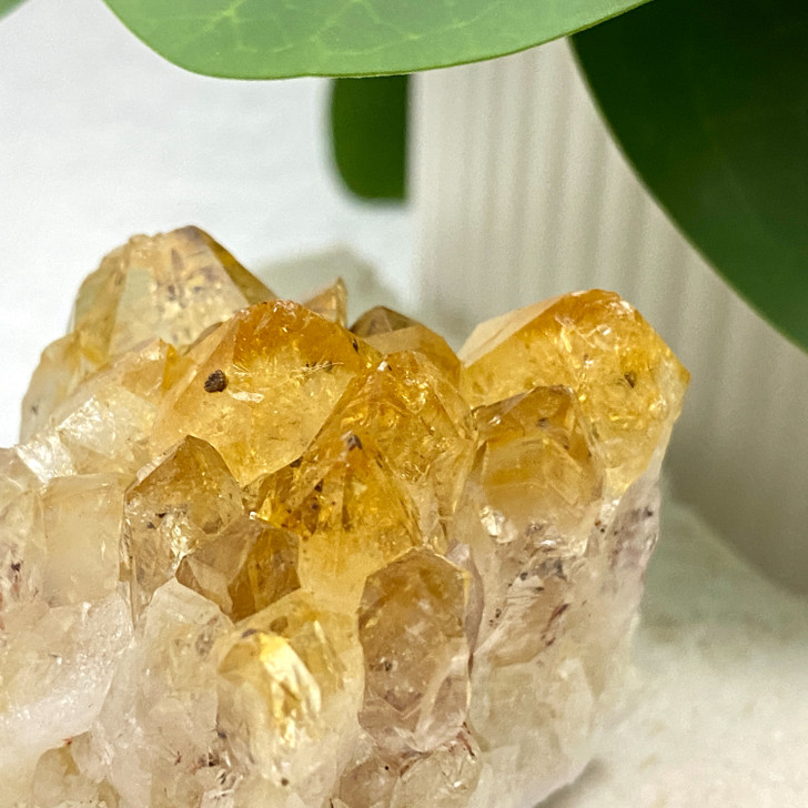 Citrine Cluster