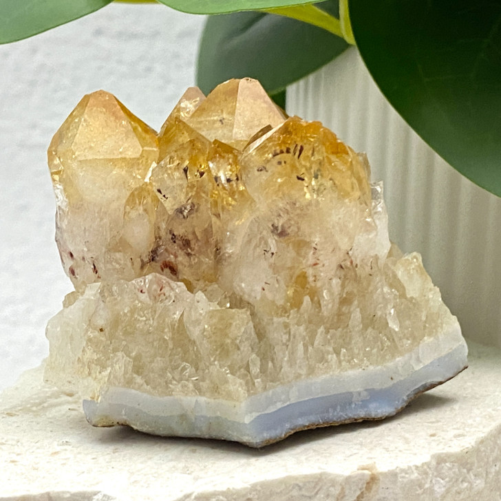 Citrine Cluster #3824